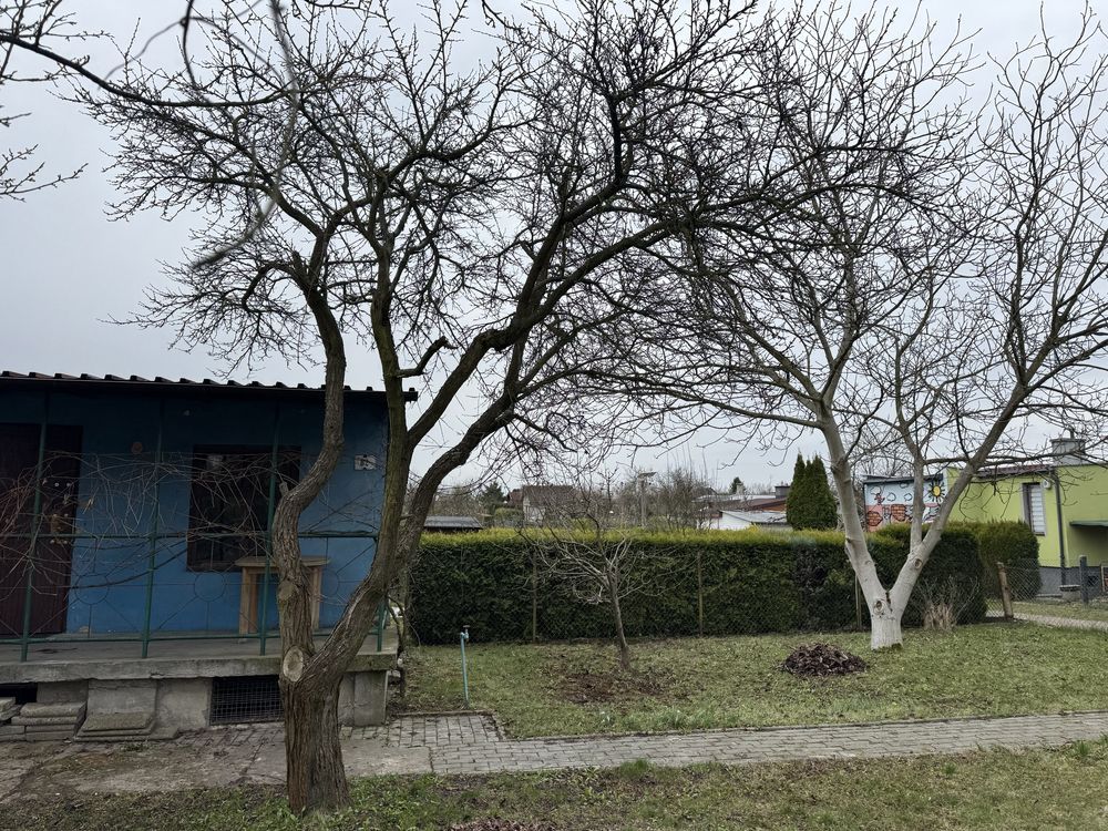 Działka rekreacyjna Żory, ul. Okrężna. Zdjęcie 3