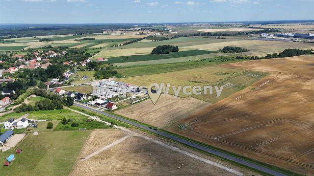 Działka inwestycyjna Święte. Zdjęcie 4