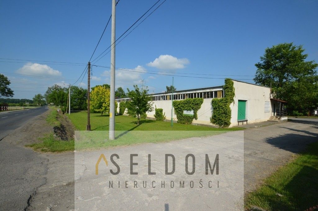 Lokal Prószków. Zdjęcie 16