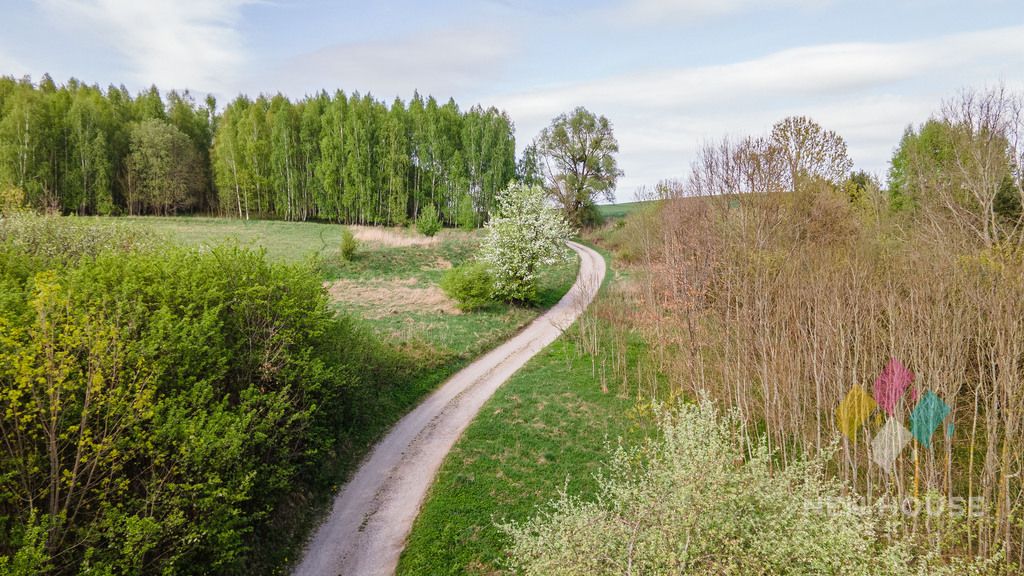 Działka Potryty. Zdjęcie 5