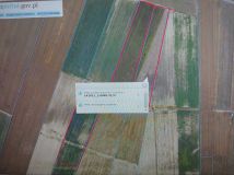 Działka rolna Naborowo. Zdjęcie 2