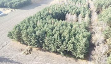 Działka siedliskowa Pustki