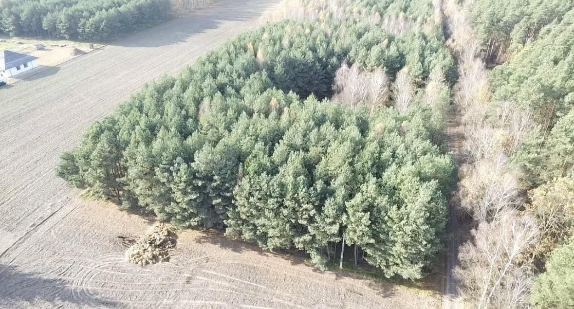 Działka siedliskowa Pustki