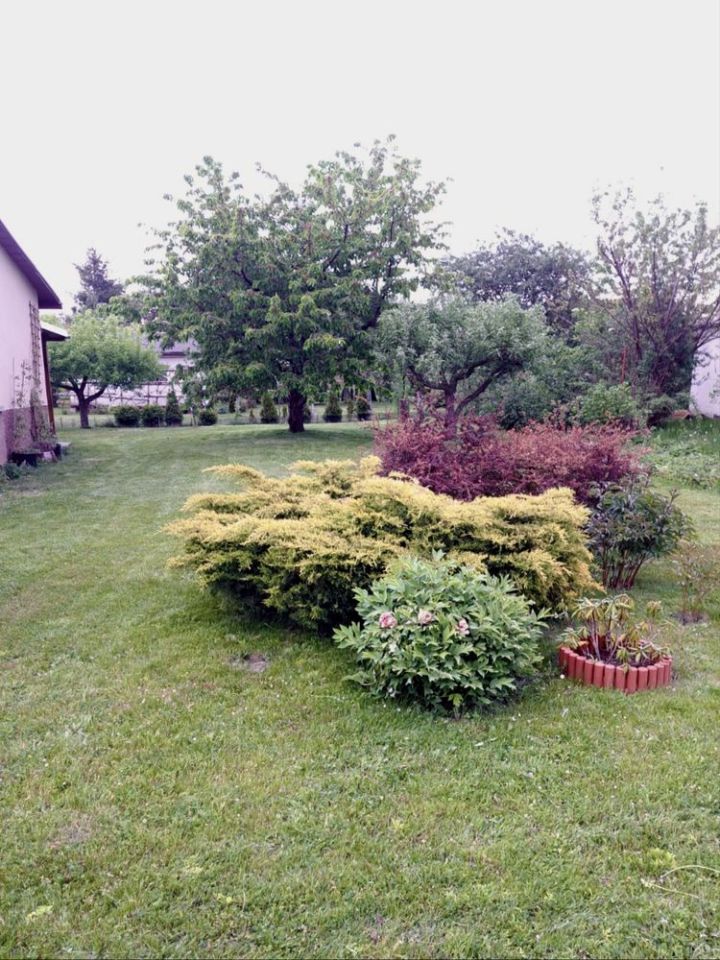 Działka rod Złoty Stok. Zdjęcie 5