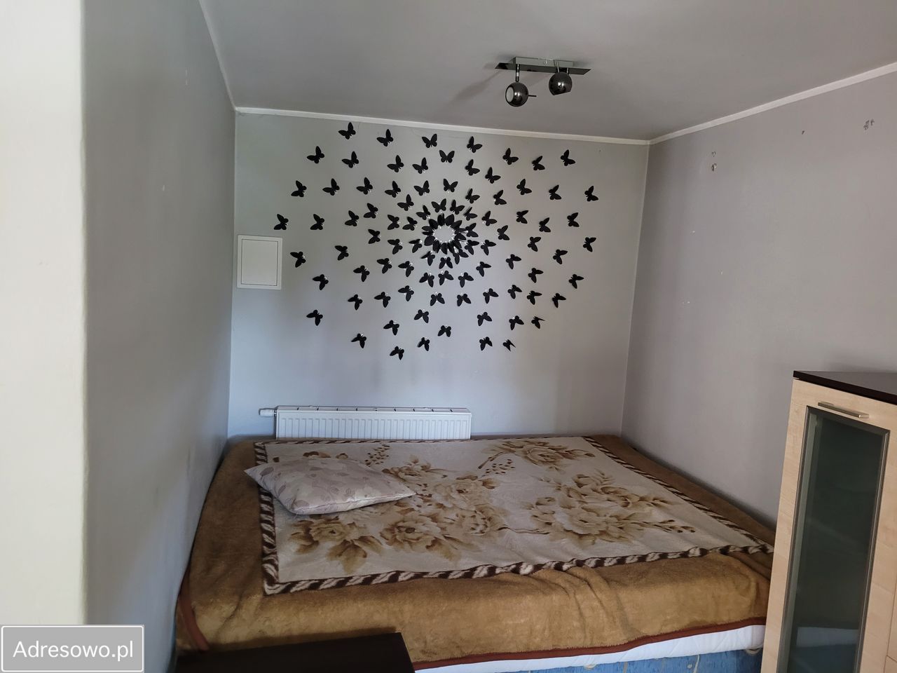 Mieszkanie 1-pokojowe Wrocław Stare Miasto, ul. św. Jadwigi. Zdjęcie 5