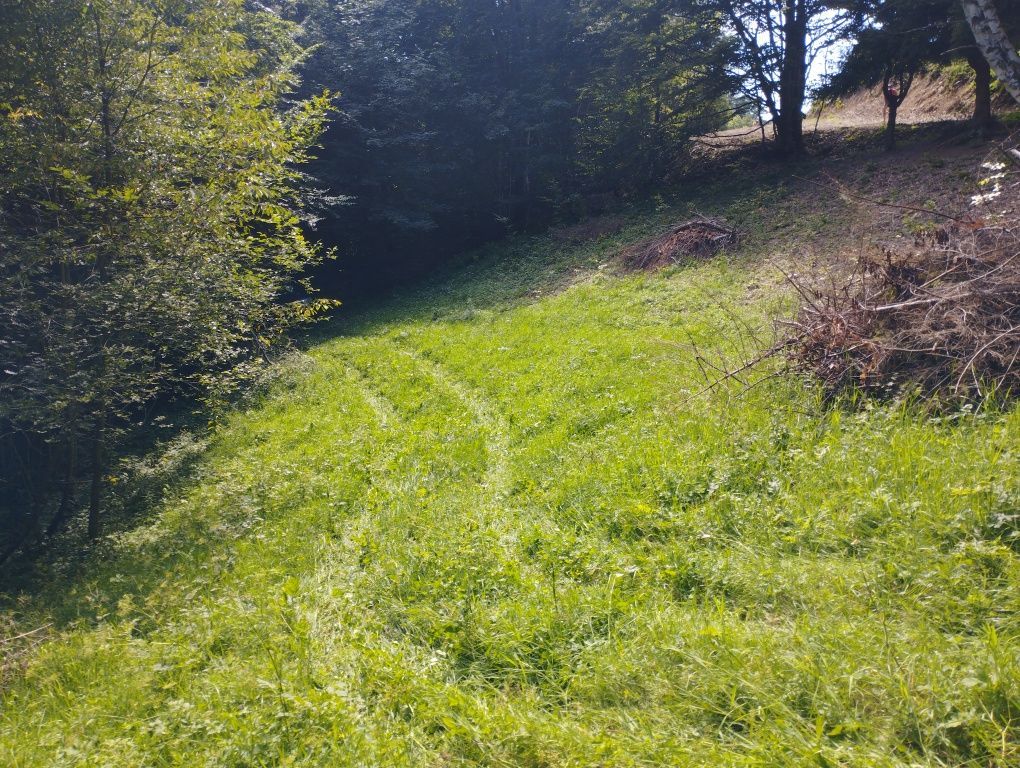 Działka budowlana Sidzina. Zdjęcie 6