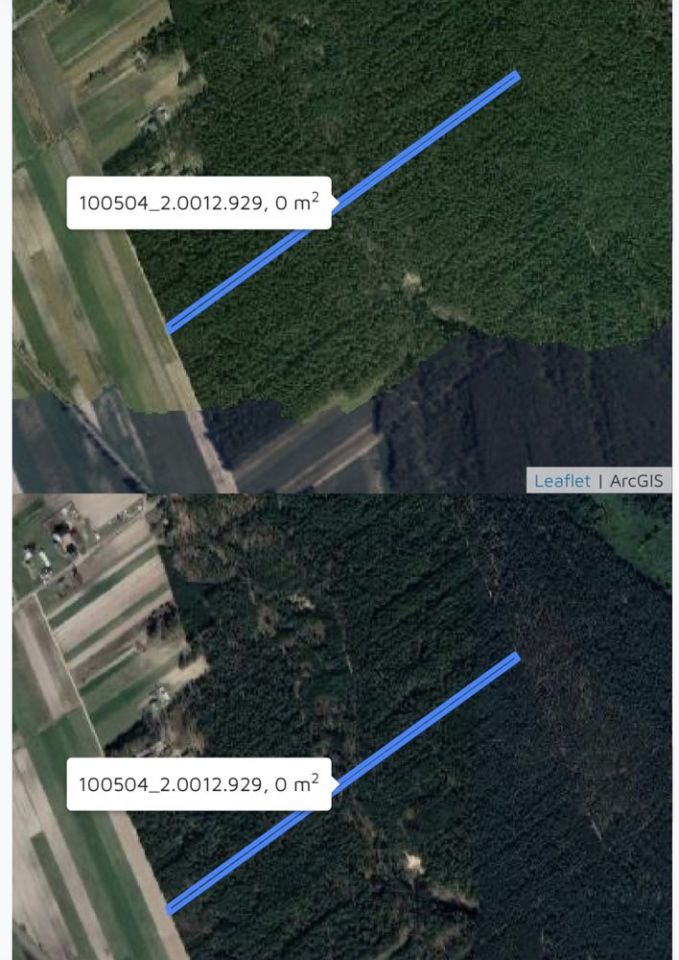 Działka leśna Rogóźno. Zdjęcie 2