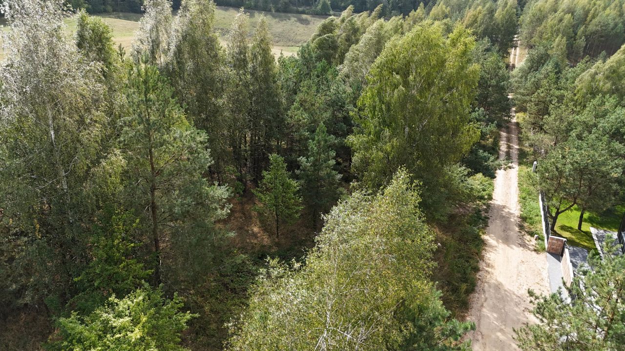 Działka budowlana Cierzpięty. Zdjęcie 7