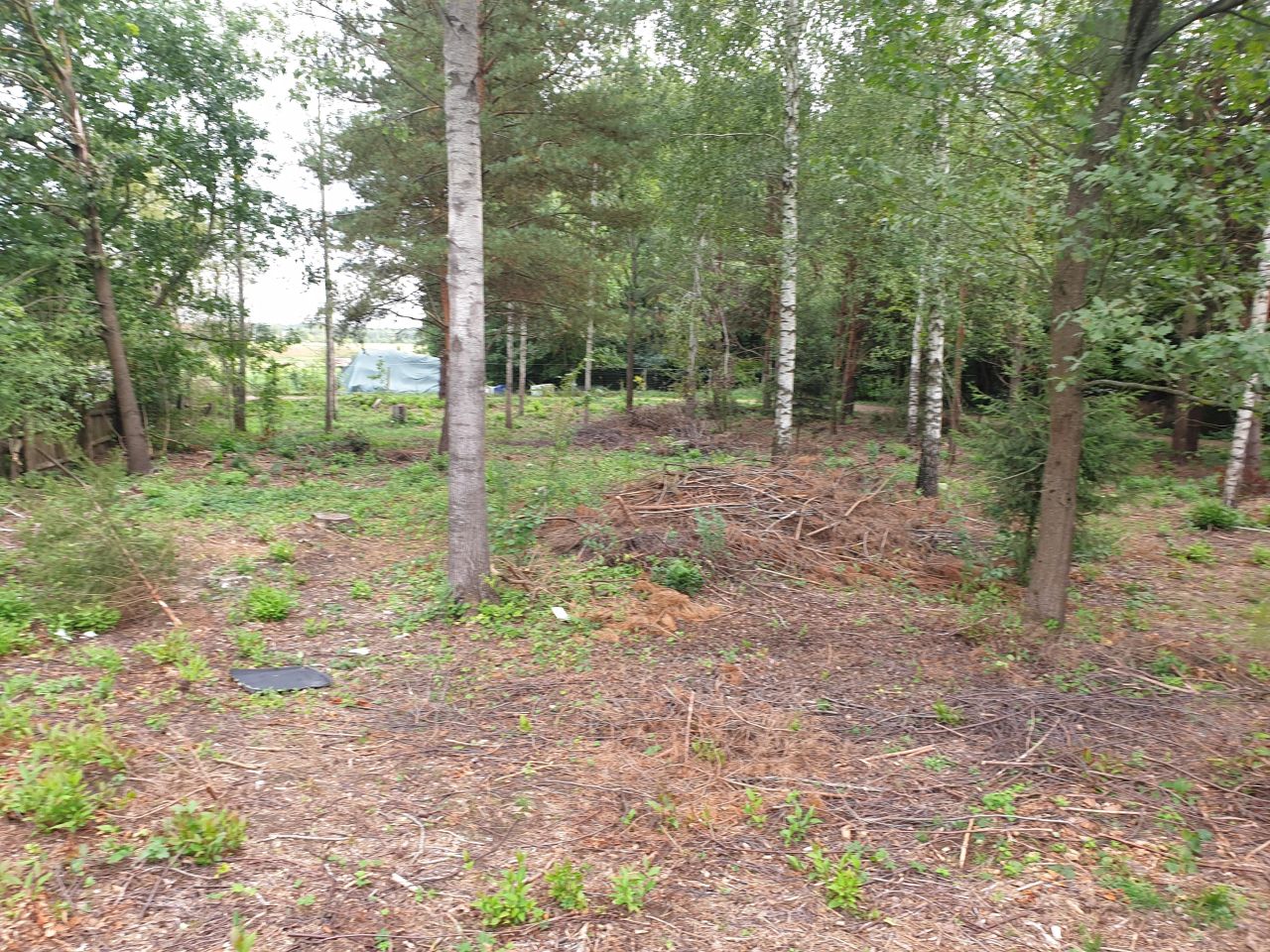 Działka budowlana Zabłotczyzna. Zdjęcie 6