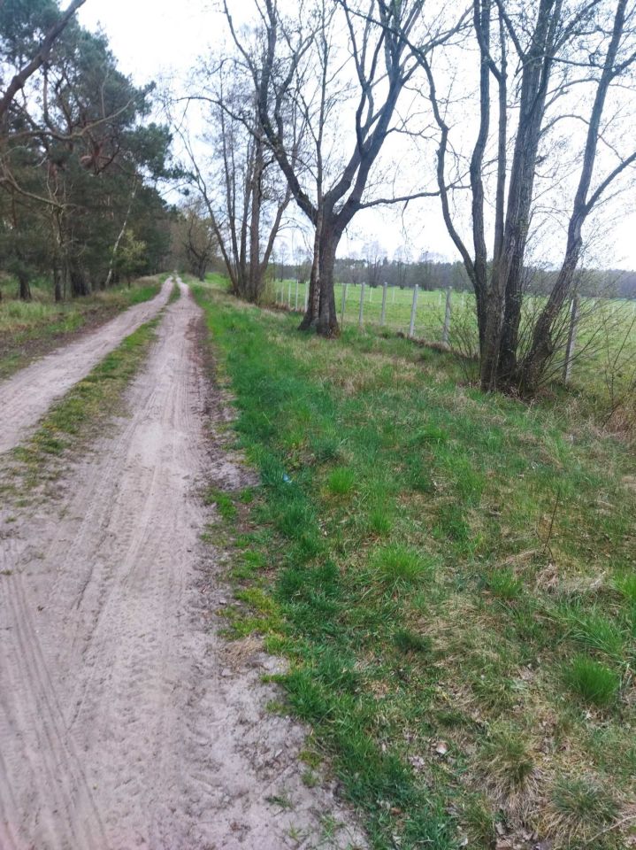 Działka rolna Stary Widzim. Zdjęcie 2