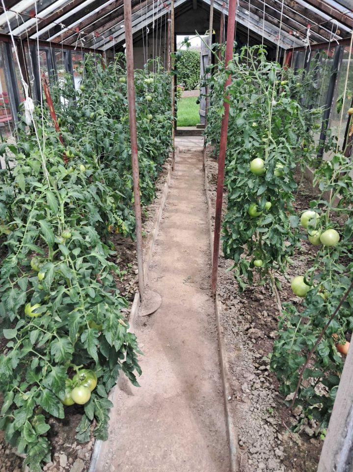 Działka Chełmża, ul. Owocowa. Zdjęcie 5