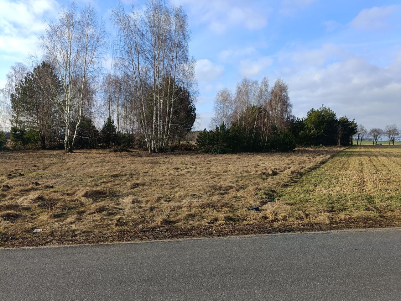 Działka inwestycyjna Kuciny. Zdjęcie 1