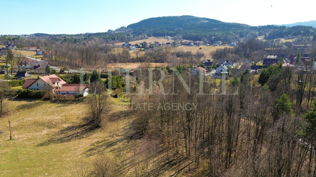 Działka rolna Stara Wieś. Zdjęcie 8