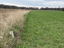 Działka budowlana Wilków, ul. Żyznowska. Zdjęcie 3