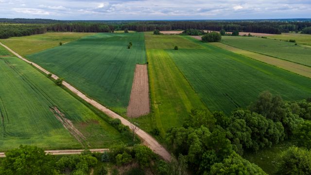 Działka rolna Sieśki. Zdjęcie 3