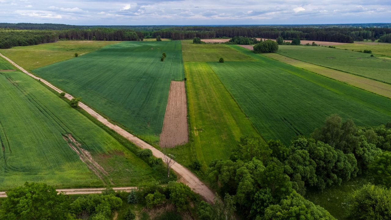 Działka rolna Sieśki. Zdjęcie 3