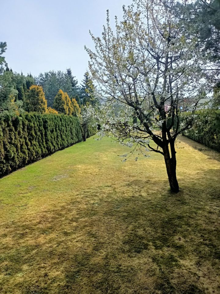 bliźniak, 5 pokoi Jastrzębie, ul. Graniczna. Zdjęcie 33