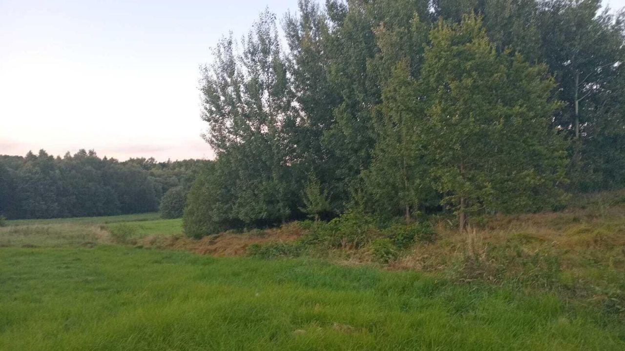 Działka budowlana Giebułtów Augustów. Zdjęcie 2