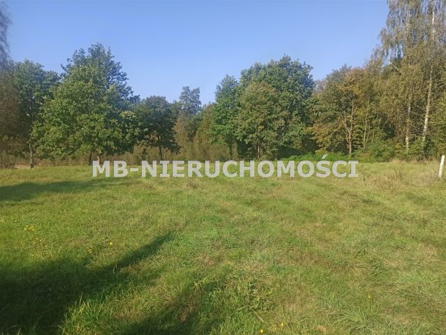 Działka rolna Ługwałd. Zdjęcie 2