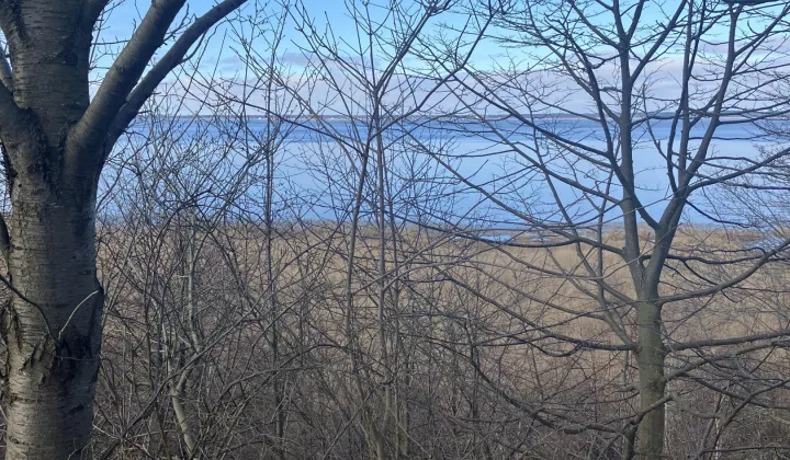 Działka rolno-budowlana Tolkmicko, ul. Morska