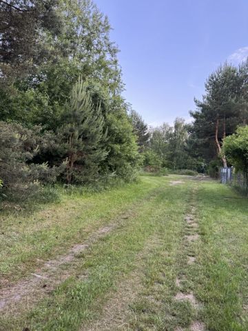 Działka rekreacyjna Zofiówka, ul. Główna. Zdjęcie 1