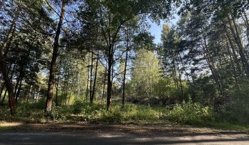 Działka rolno-budowlana Huta Dłutowska Kapkazy, ul. Kapkazy