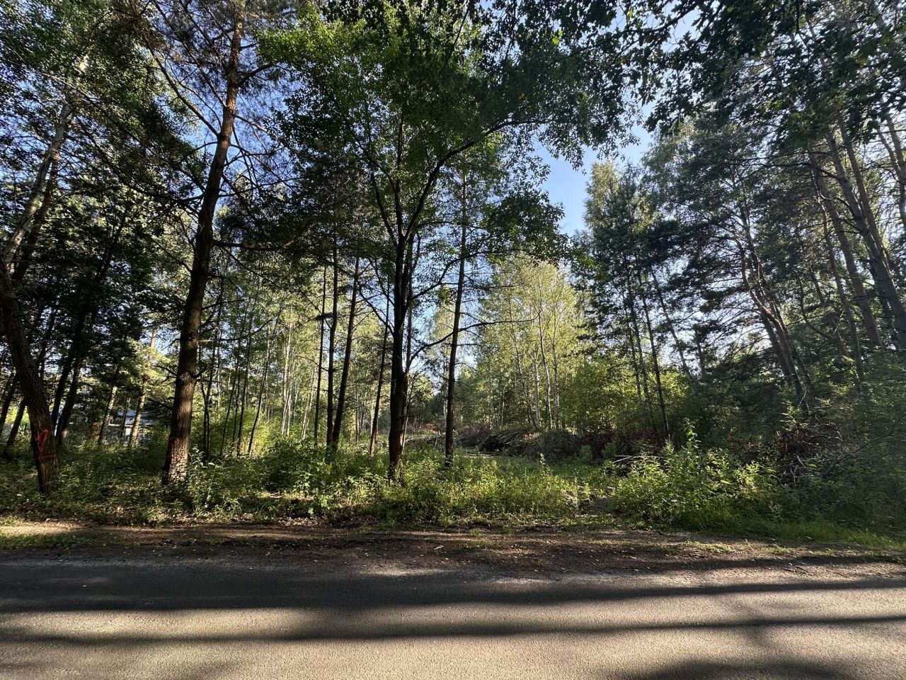 Działka rolno-budowlana Huta Dłutowska Kapkazy, ul. Kapkazy