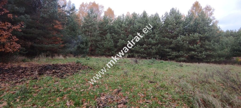 Działka budowlana Tłumy. Zdjęcie 11