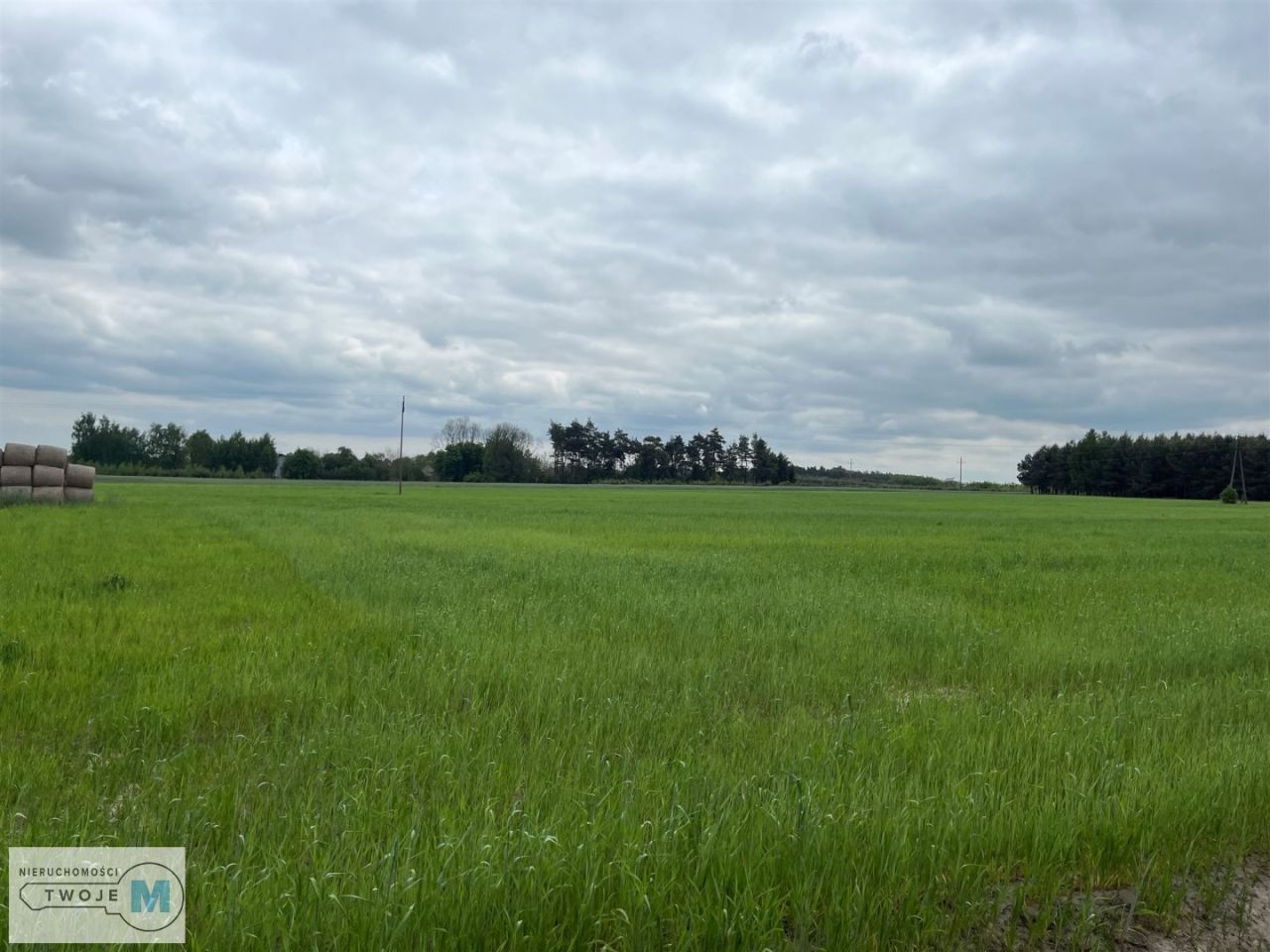 Działka rolna Trzciniec. Zdjęcie 3