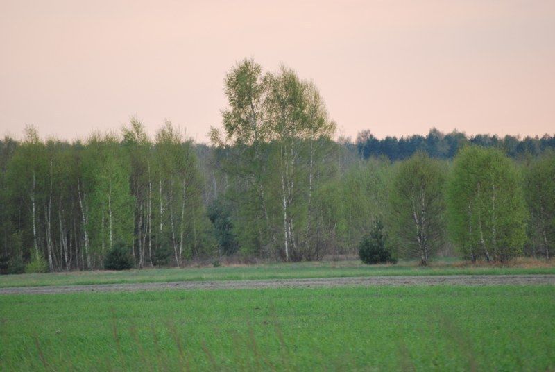 Działka budowlana Cyganka, ul. Szkolna. Zdjęcie 3