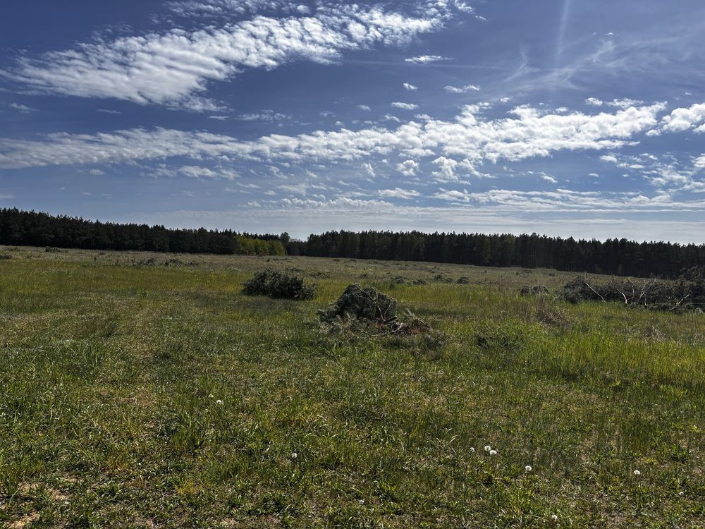 Działka budowlana Trzcinna