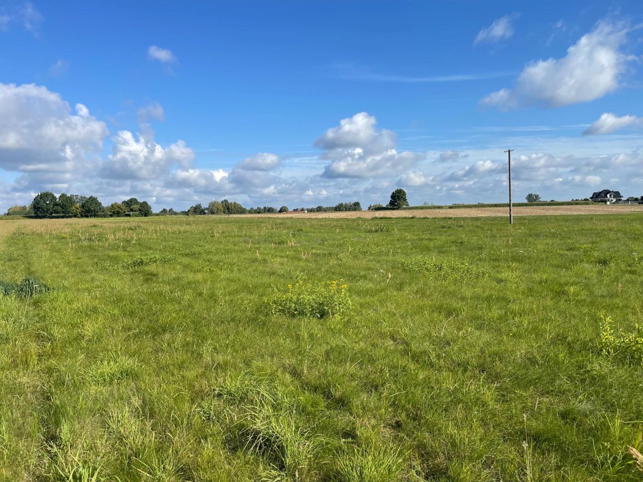 Działka budowlana Łąki. Zdjęcie 15