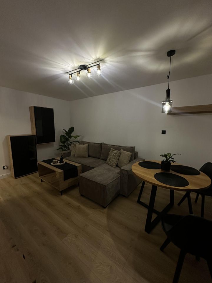 Mieszkanie 1-pokojowe Nowy Dwór Gdański Centrum, pl. Wolności. Zdjęcie 3