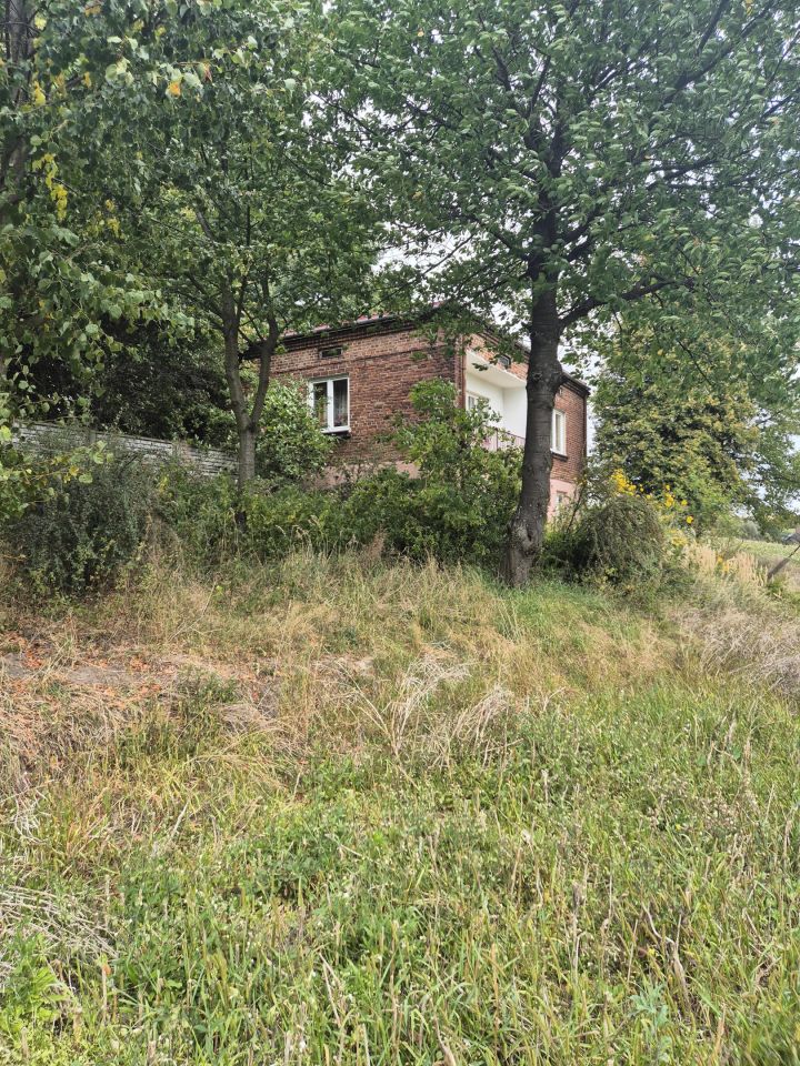 dom wolnostojący, 3 pokoje Blinów Drugi. Zdjęcie 2