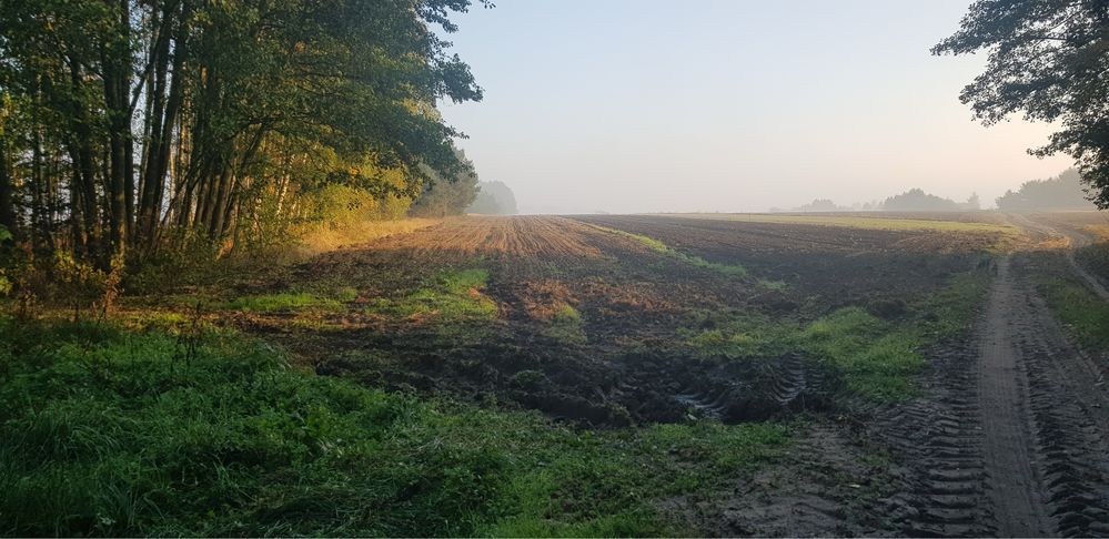 Działka budowlana Ostrowy. Zdjęcie 2