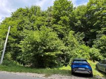 Działka leśna Jerzmanowice. Zdjęcie 1