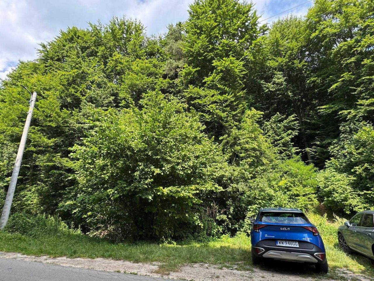 Działka leśna Jerzmanowice. Zdjęcie 2