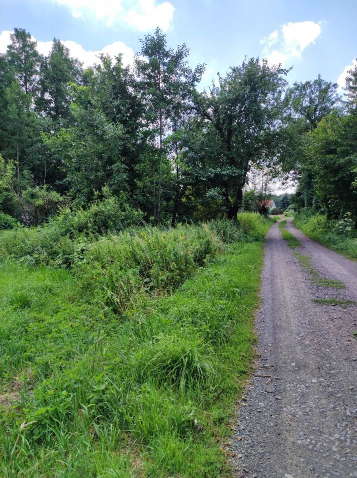 Działka rolno-budowlana Dobroszów Pieszków. Zdjęcie 7