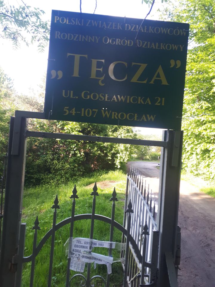 Działka rod Wrocław Pilczyce, ul. Gosławicka