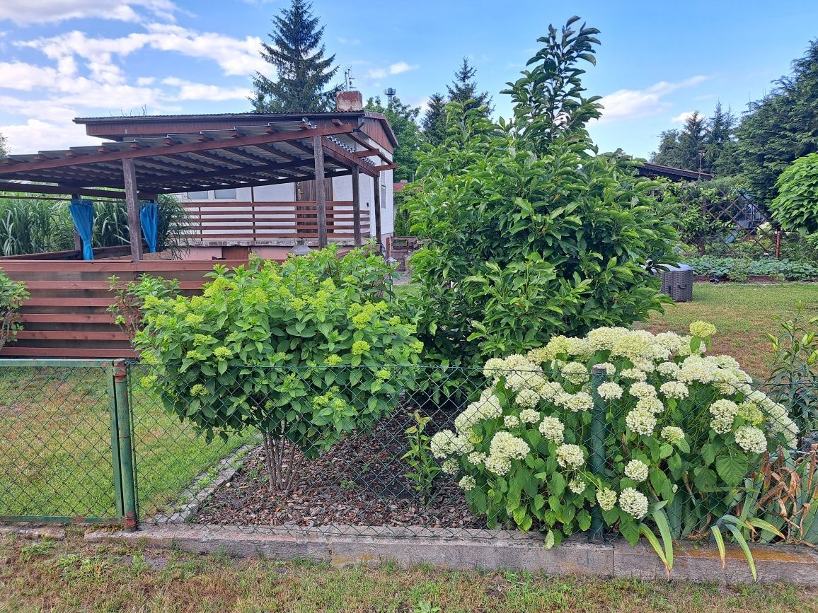 Działka rod Bydgoszcz Prądy, ul. Biskupińska. Zdjęcie 8