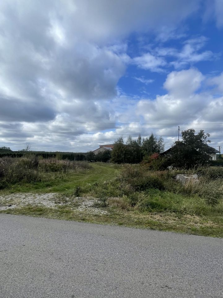 Działka rolno-budowlana Porady Górne. Zdjęcie 6