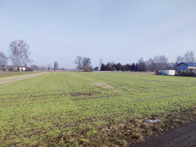 Działka budowlana Tuszyn, ul. Niedas Leśny. Zdjęcie 1