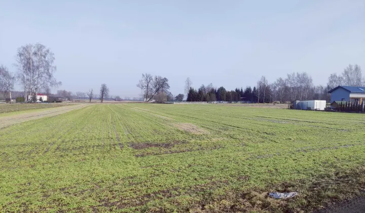 Działka budowlana Tuszyn, ul. Niedas Leśny