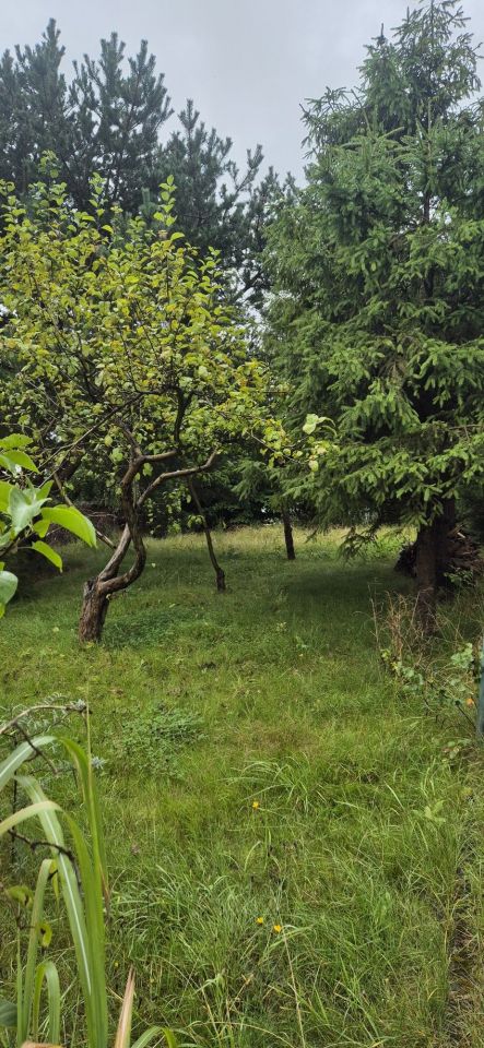 Działka rod Gdańsk Brętowo. Zdjęcie 3