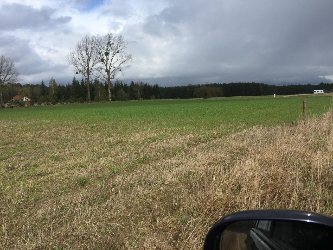 Działka budowlana Stary Sumin. Zdjęcie 5