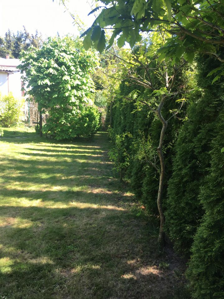 Działka rekreacyjna Czarne Małe. Zdjęcie 59