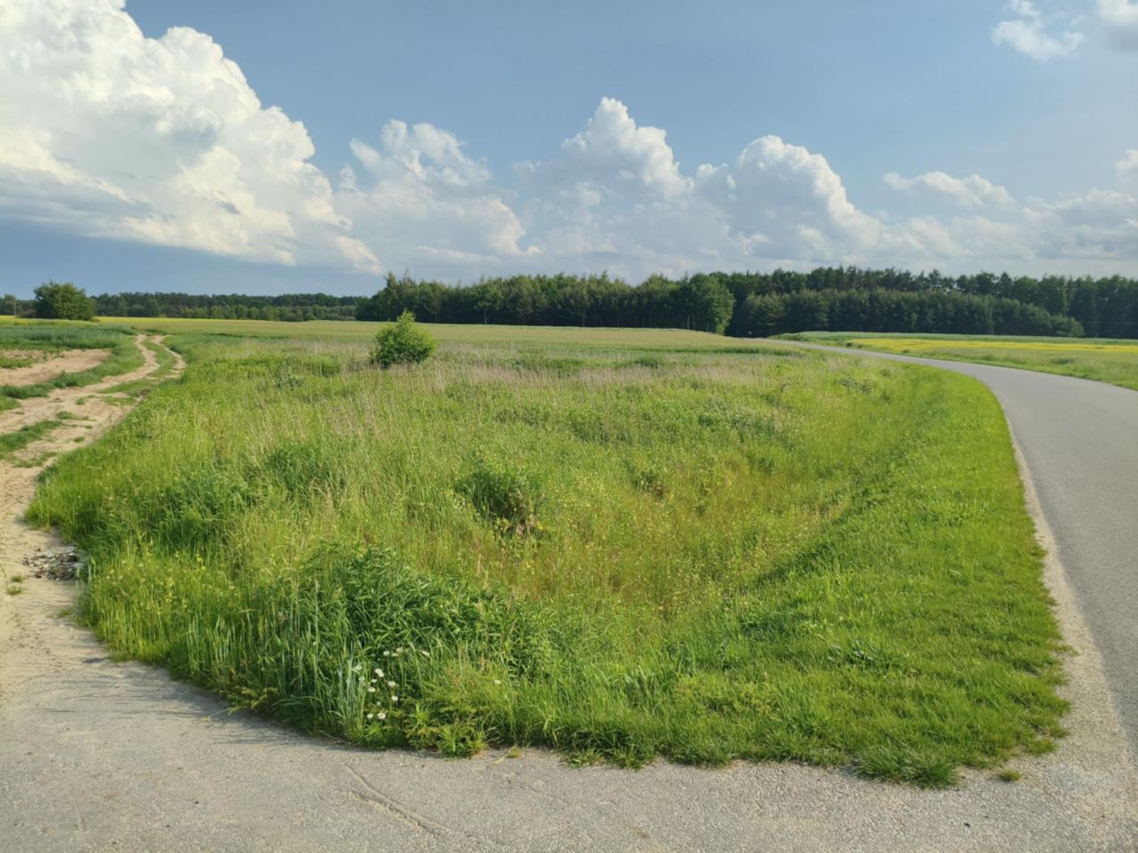 Działka rolna Borowa