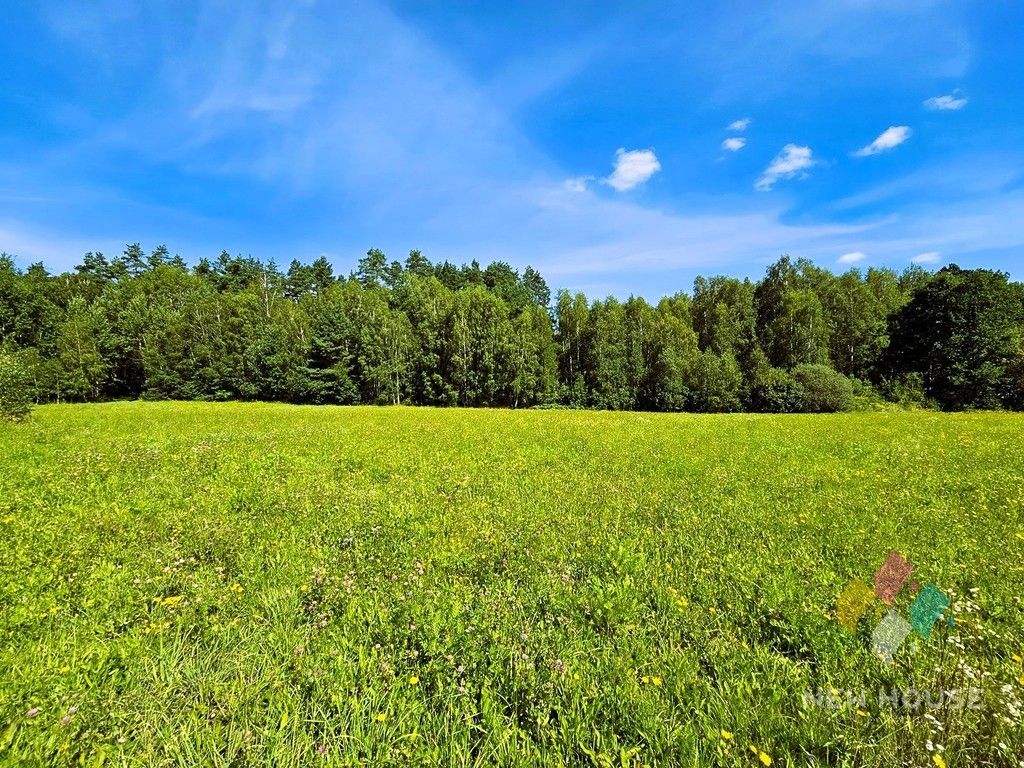 Działka budowlana Patryki. Zdjęcie 4