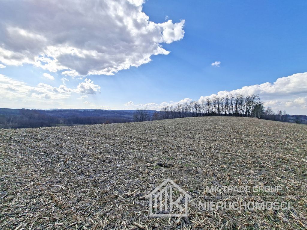 Działka Bodzanów. Zdjęcie 8