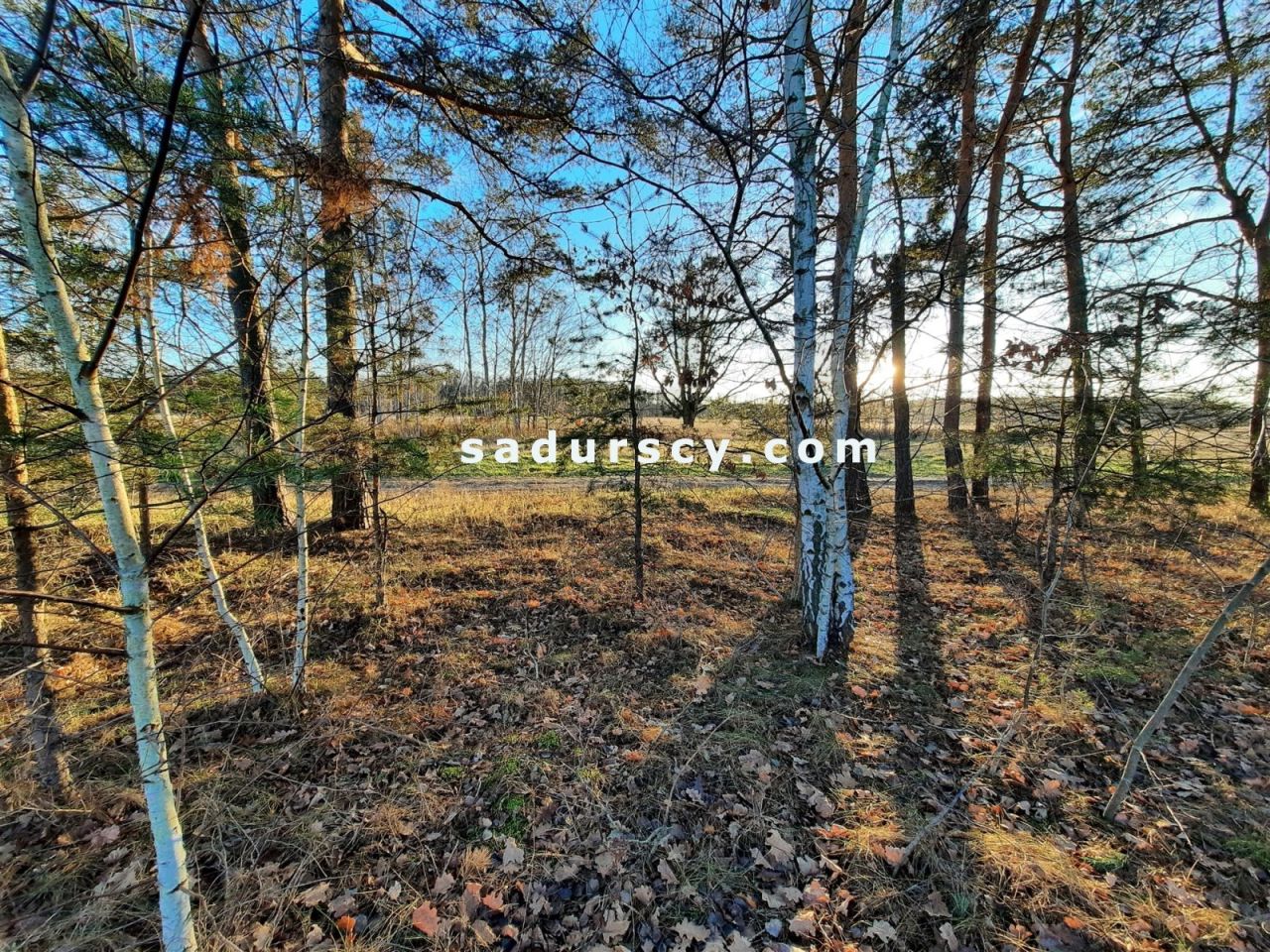 Działka budowlana Baniocha. Zdjęcie 9